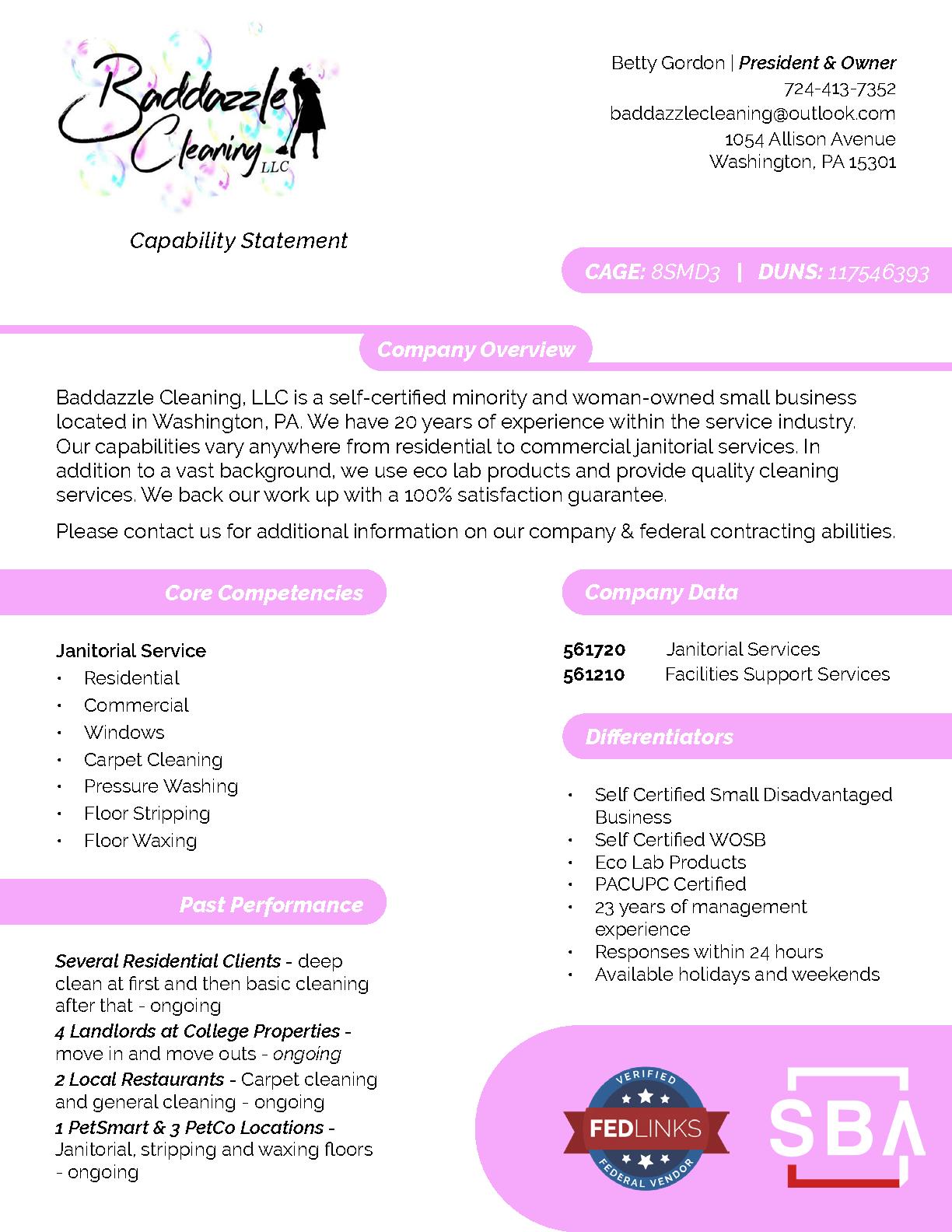 Baddazzle cleaning llc capability statement