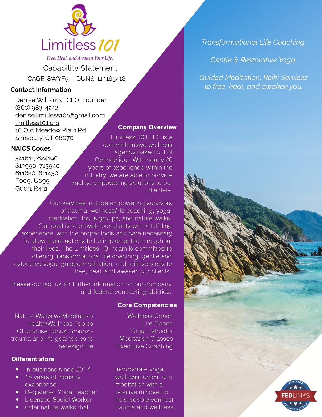 Limitless 101 llc capability statement