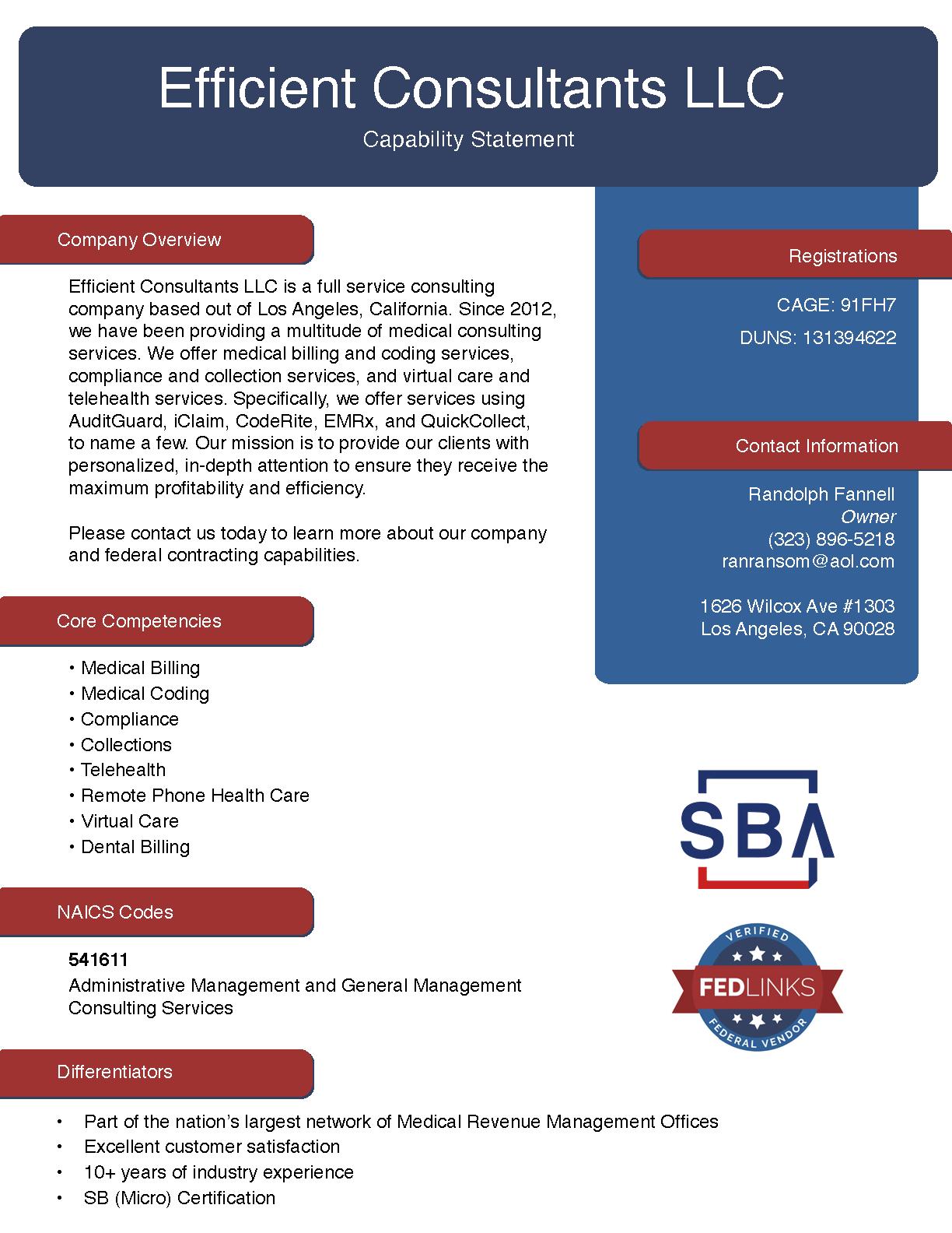 Efficient consultants llc capability statement