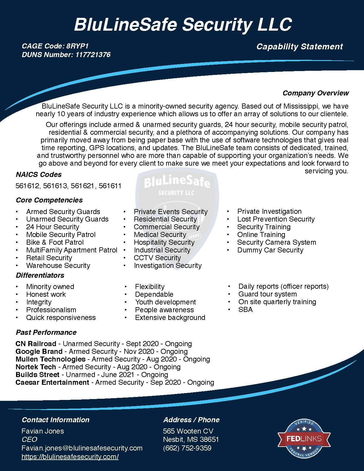 Blulinesafe security llc