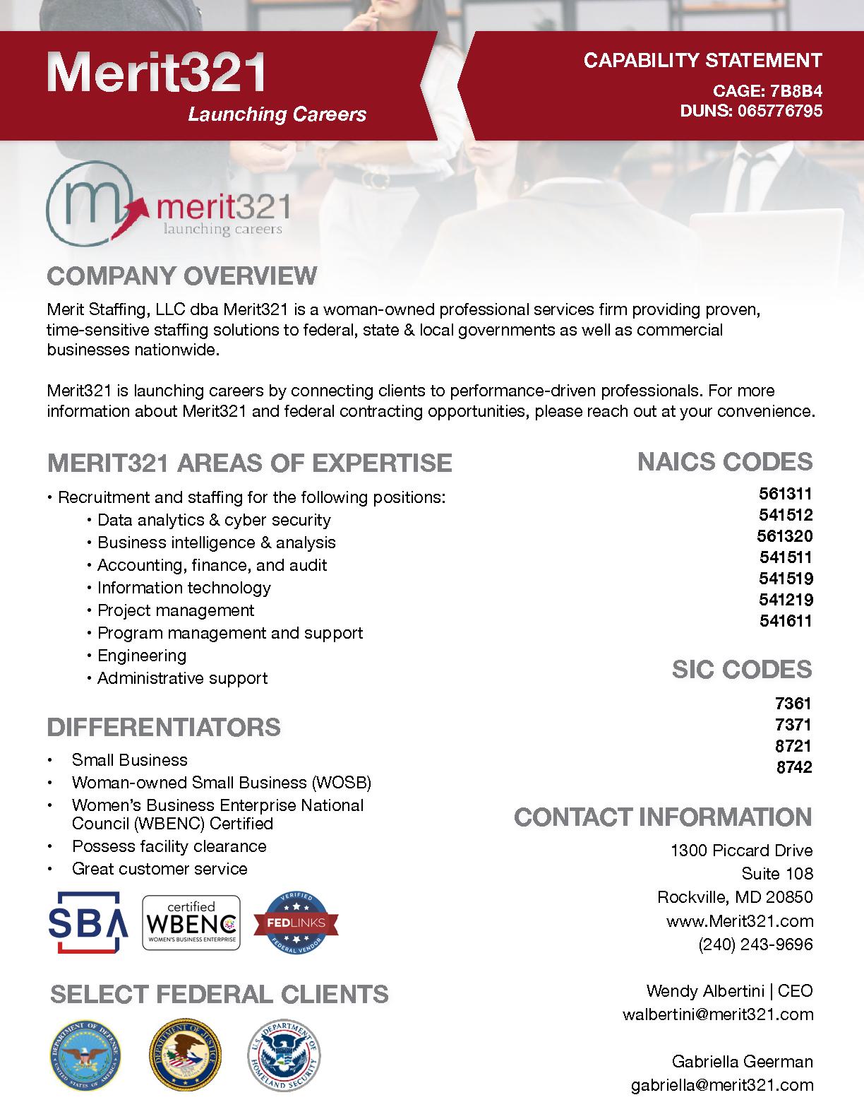 Merit staffing llc