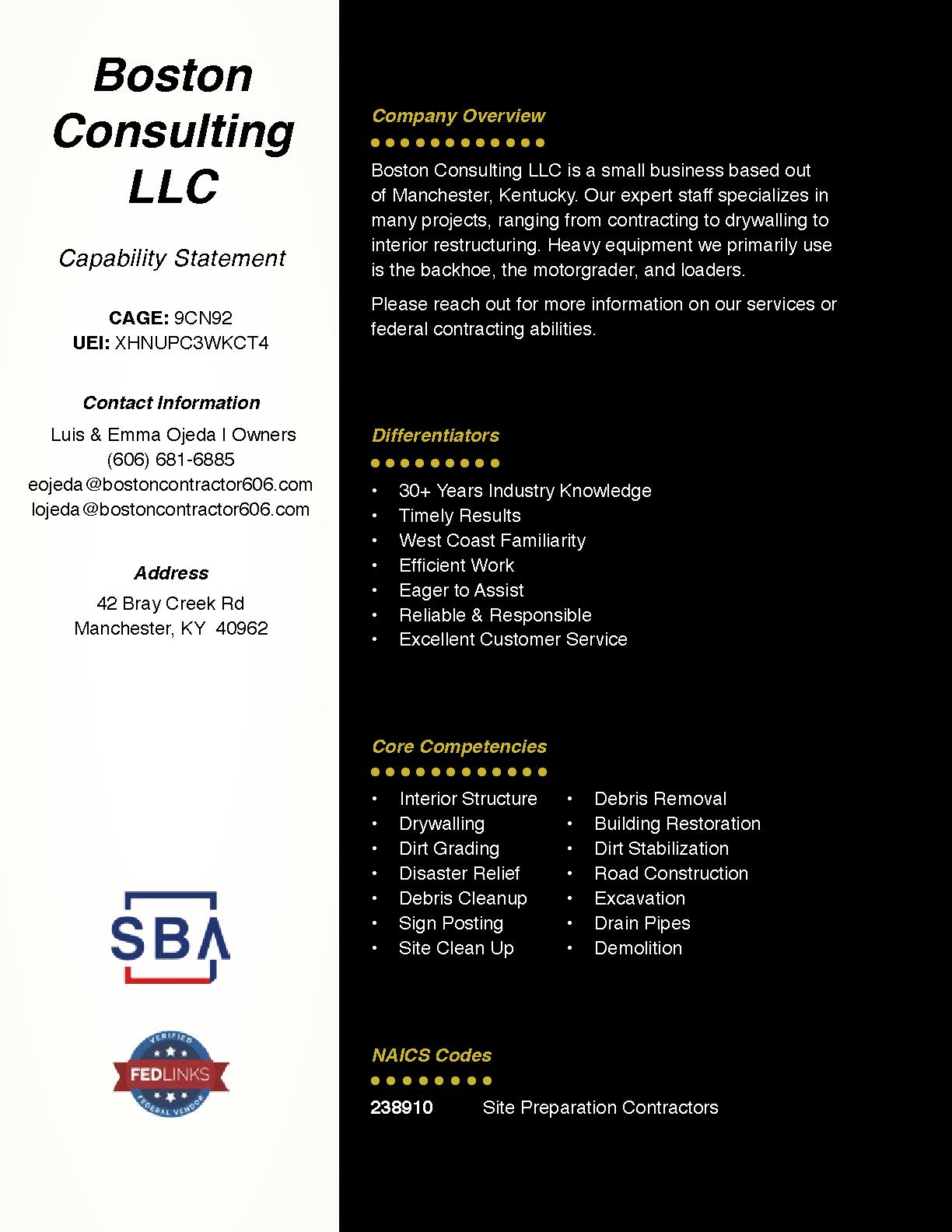 Boston consulting llc