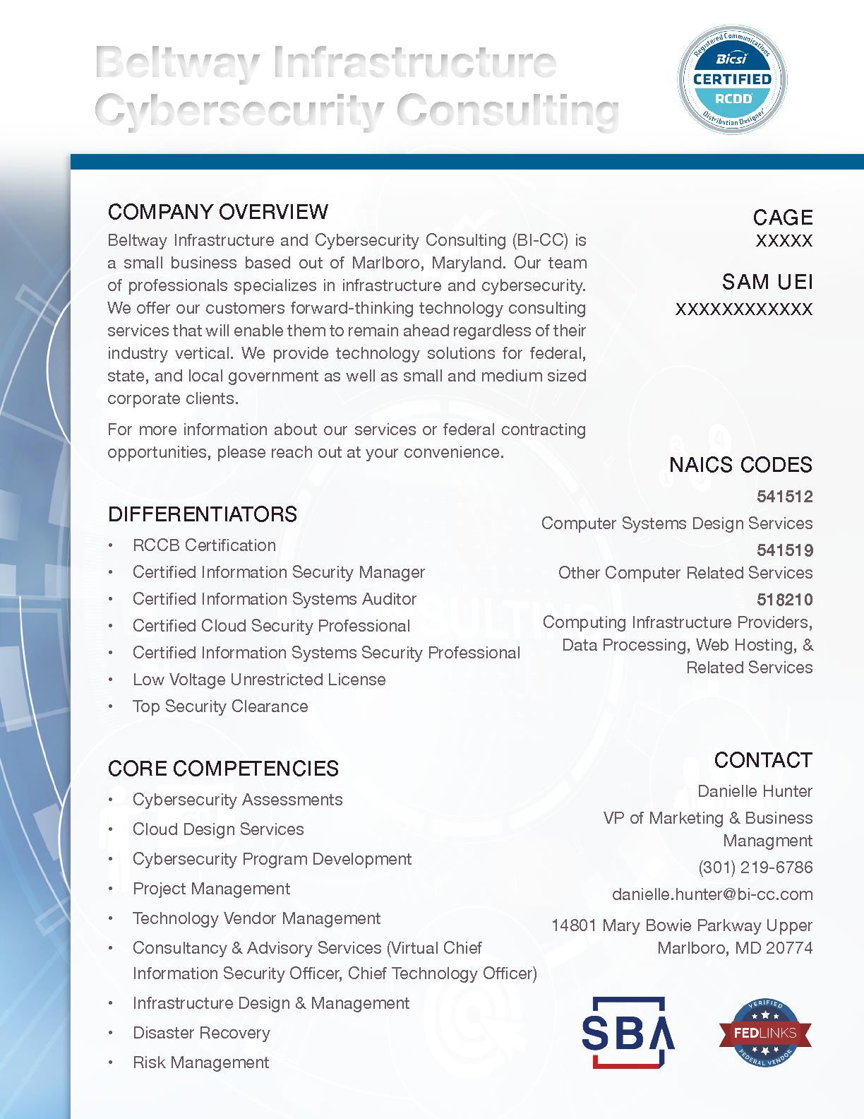 Beltway infrastructure cybersecurity consulting