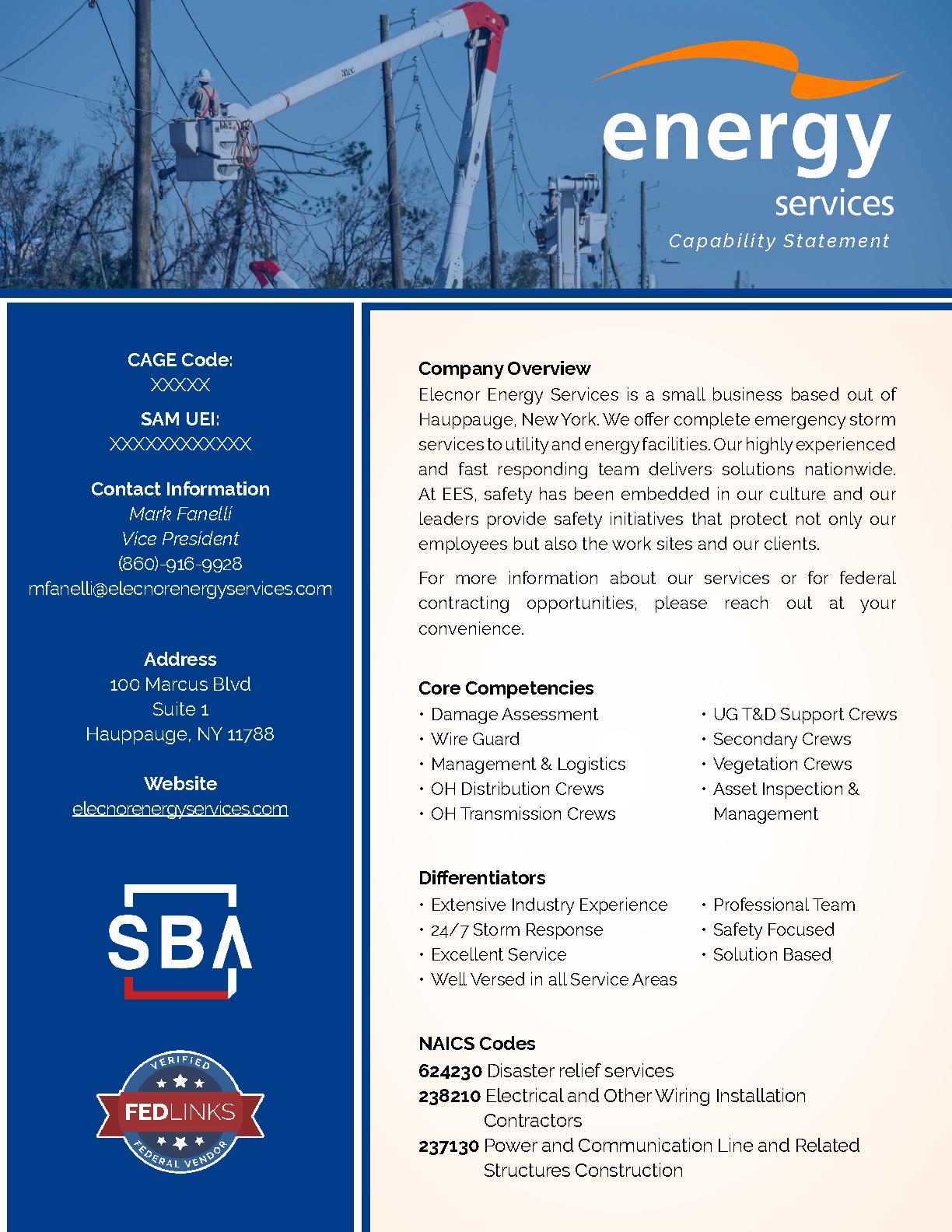 Elecnor energy services