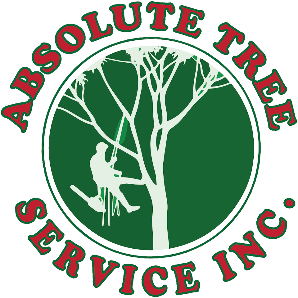 Absolute Tree Service