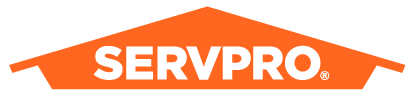 Servpro 21 logo 414 95