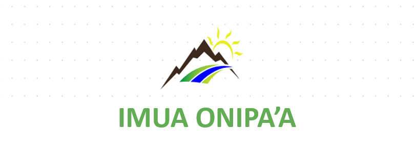 143381847 io logo and large name