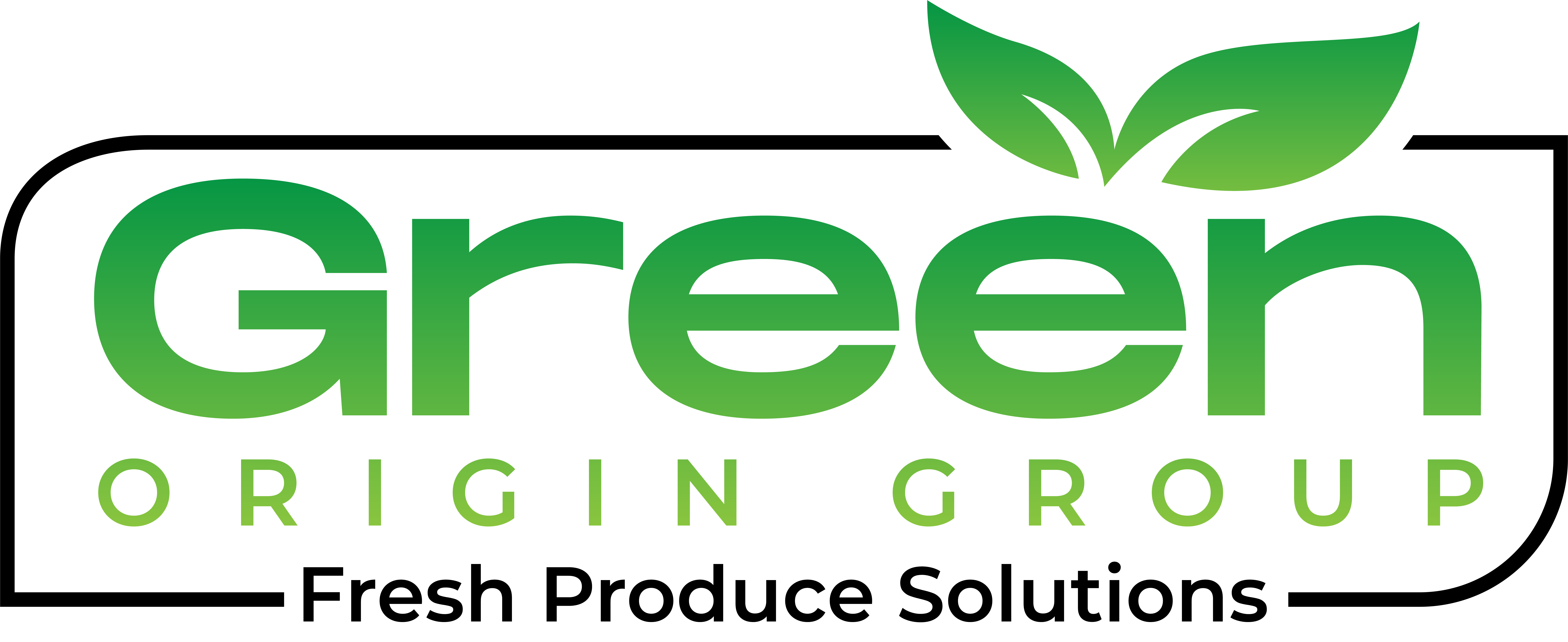 143381847 green origin group 01