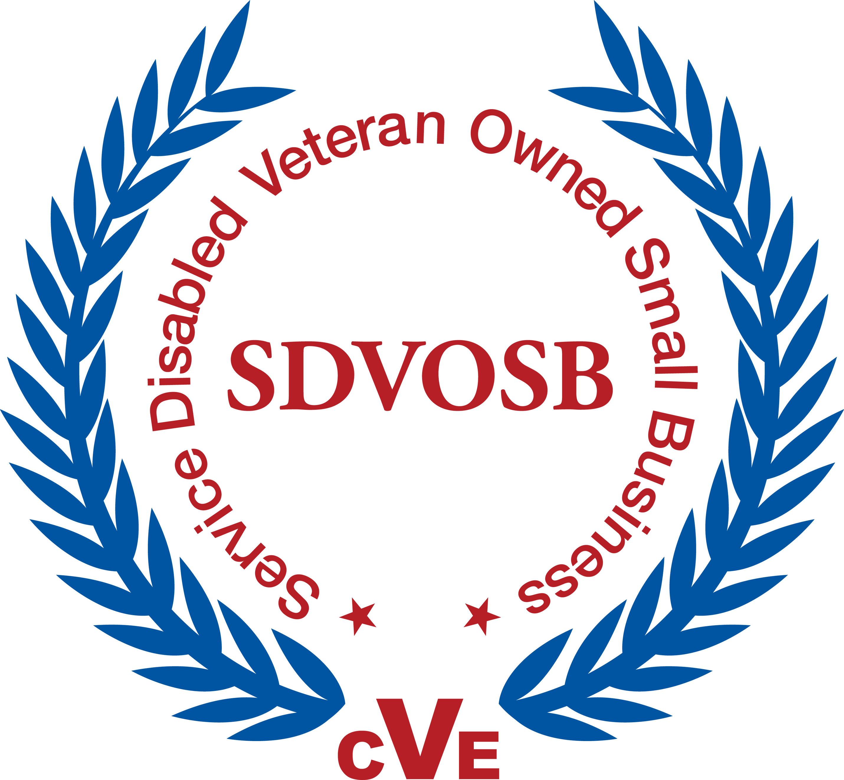 Sdvosb new color